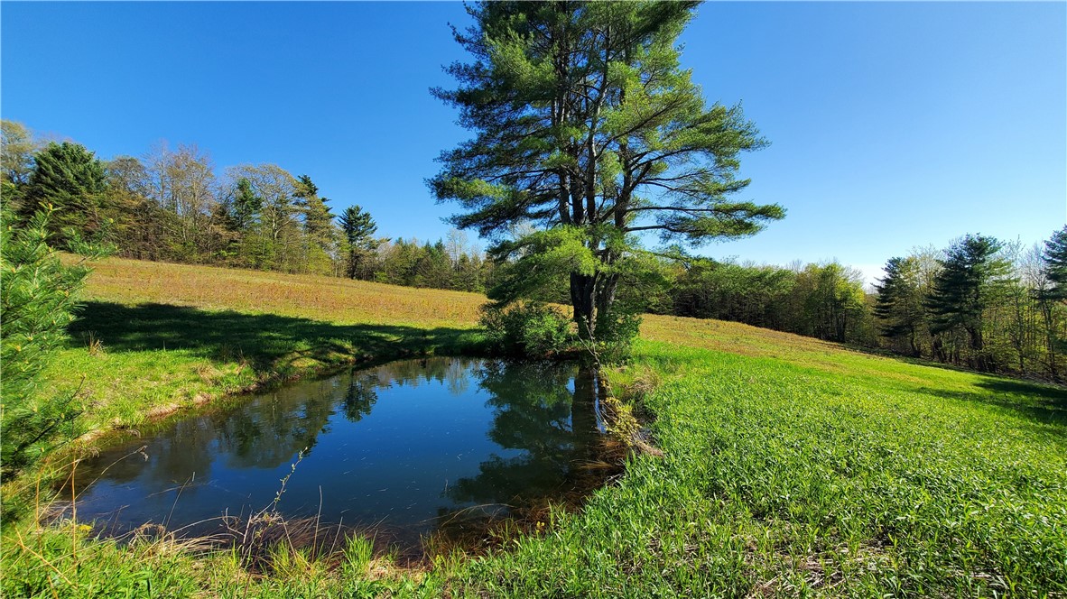 205 Sullivan Road, Laurens, New York image 38