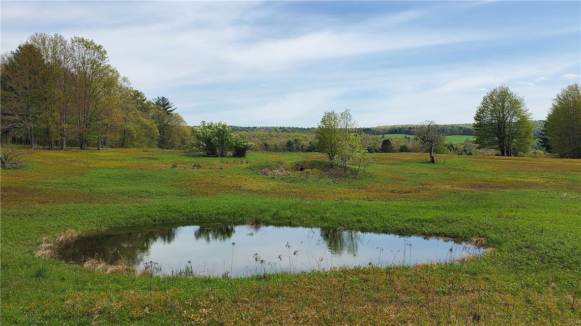 205 Sullivan Road, Laurens, New York image 42