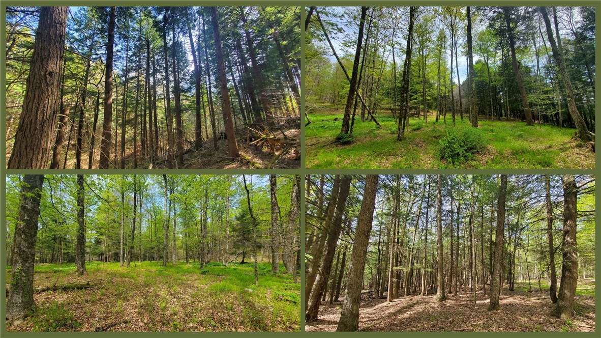 205 Sullivan Road, Laurens, New York image 40