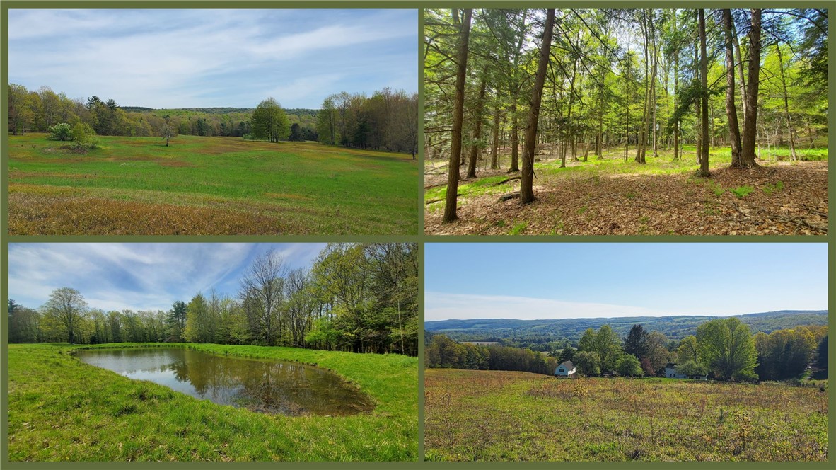 205 Sullivan Road, Laurens, New York image 49