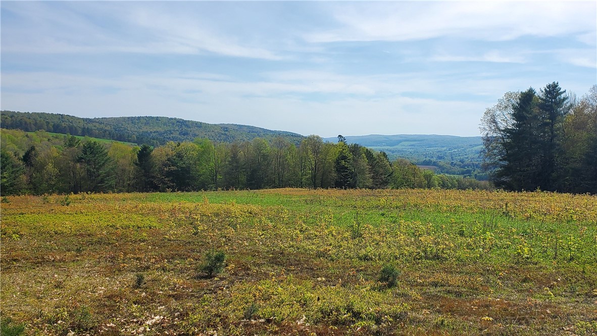 205 Sullivan Road, Laurens, New York image 48