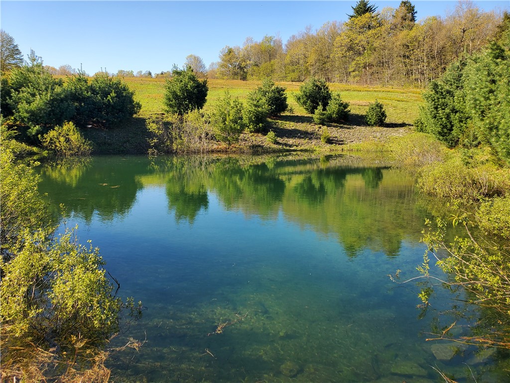 205 Sullivan Road, Laurens, New York image 34