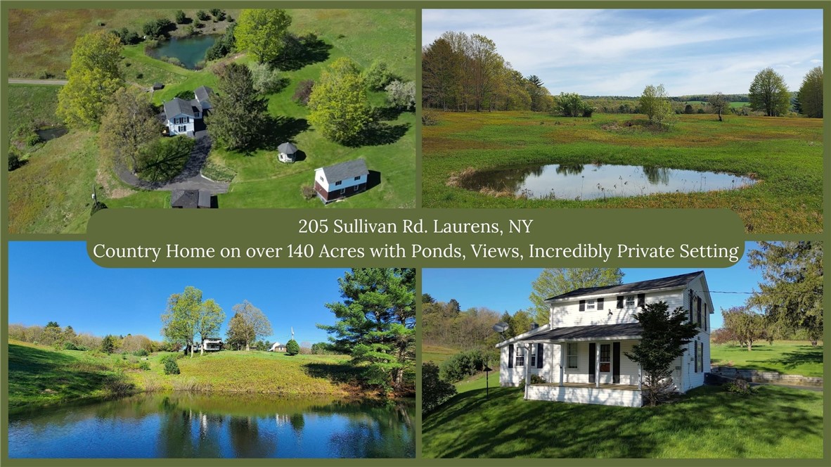 205 Sullivan Road, Laurens, New York image 1