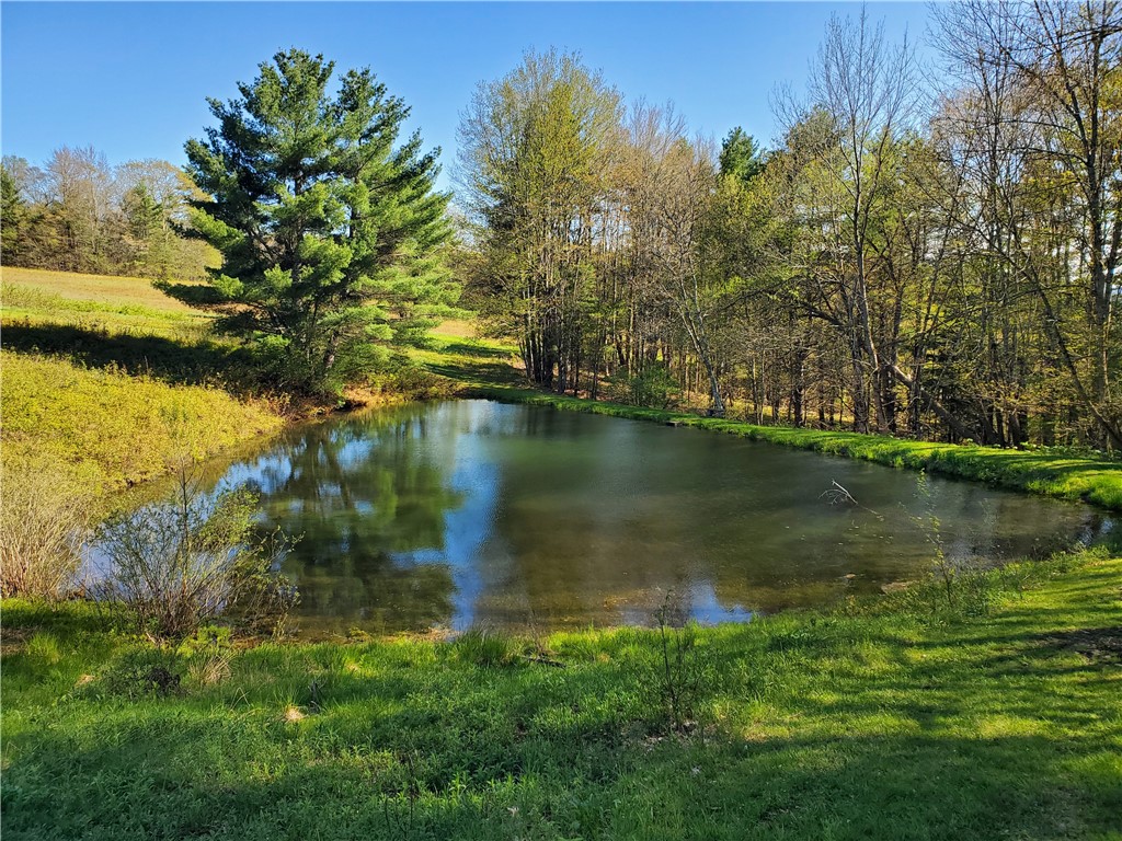 205 Sullivan Road, Laurens, New York image 37