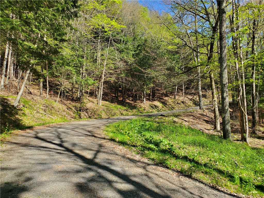 205 Sullivan Road, Laurens, New York image 8