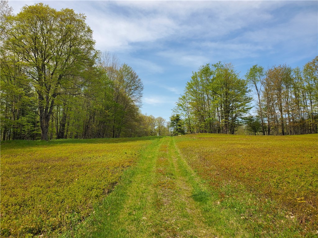 205 Sullivan Road, Laurens, New York image 43
