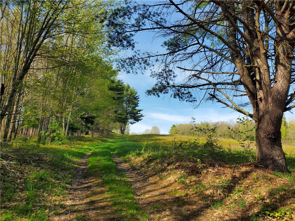205 Sullivan Road, Laurens, New York image 39