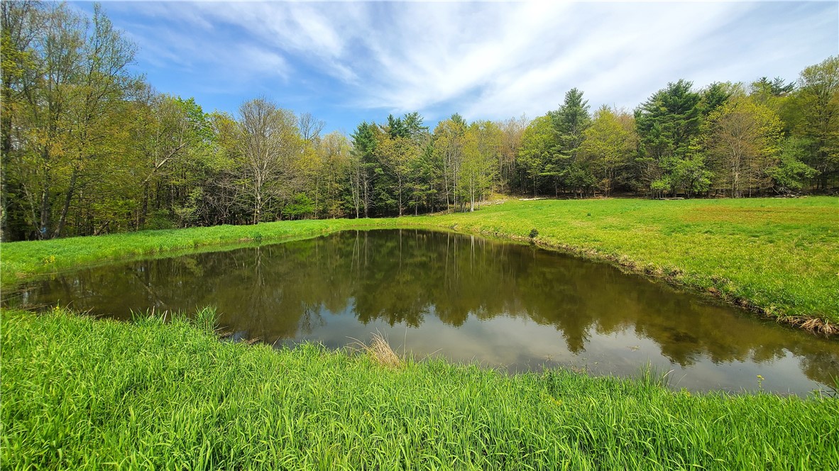 205 Sullivan Road, Laurens, New York image 44
