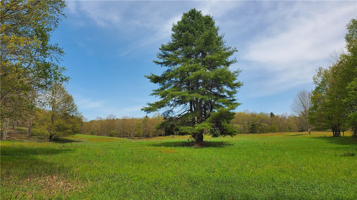 205 Sullivan Road, Laurens, New York image 41
