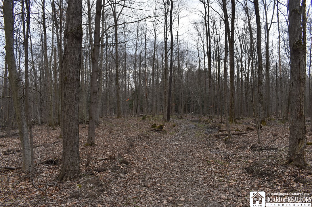 Hammond Hill Road, East Otto, New York image 23