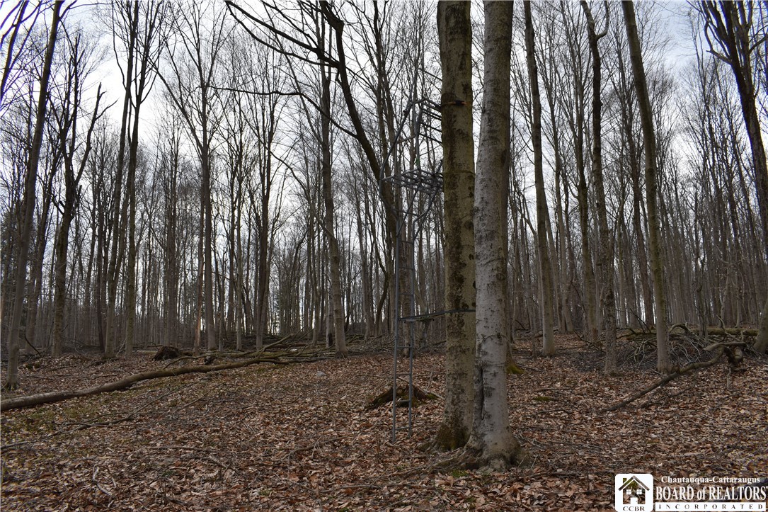 Hammond Hill Road, East Otto, New York image 26