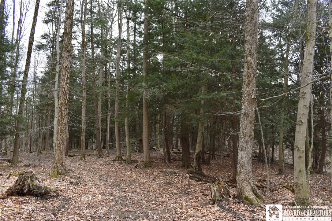 Hammond Hill Road, East Otto, New York image 37