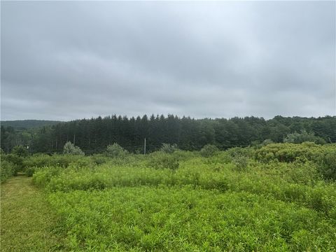 Vacant Land For Sale - LOT 1 County Route 46<br/> Steuben County, Dansville, NY 14437