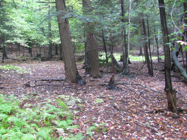 62054 State Route 415, Cohocton, New York image 7
