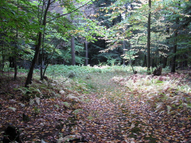 62054 State Route 415, Cohocton, New York image 3