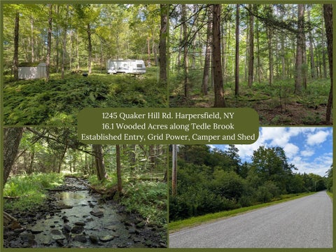 Vacant Land For Sale - 1245 Quaker Hill Road<br/> Harpersfield, NY 12093