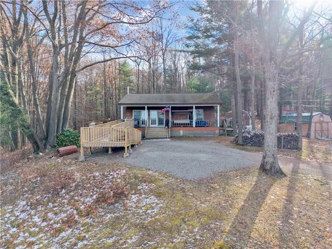 Homes For Sale - 11750 Lyon Road<br/> Cohocton, NY 14512