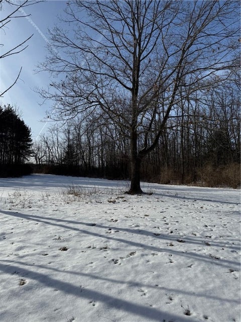 Photo for 1600 Ellis Road