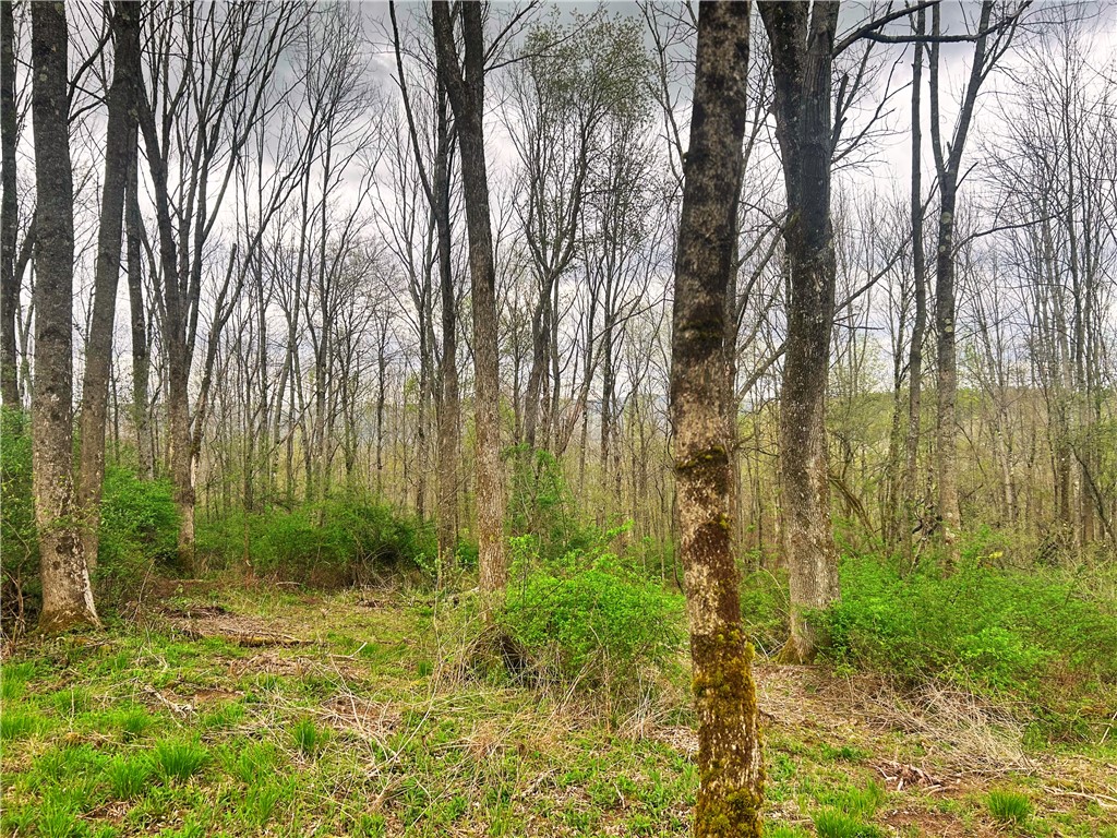 Sisson Hill Rd, Unadilla, New York image 7