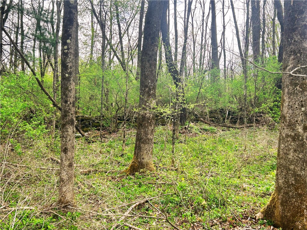 Sisson Hill Rd, Unadilla, New York image 4