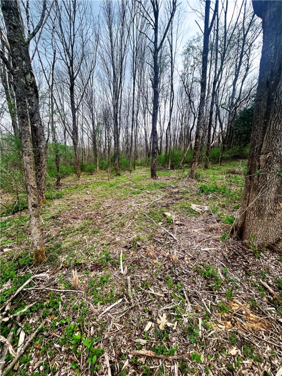 Sisson Hill Rd, Unadilla, New York image 5