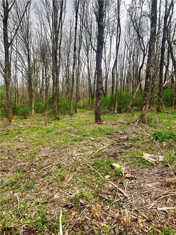 Sisson Hill Rd, Unadilla, New York image 3