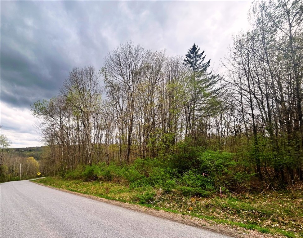 Sisson Hill Rd, Unadilla, New York image 2