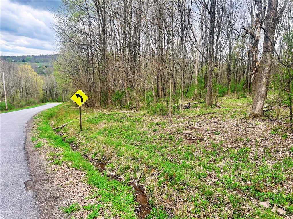 Sisson Hill Rd, Unadilla, New York image 1