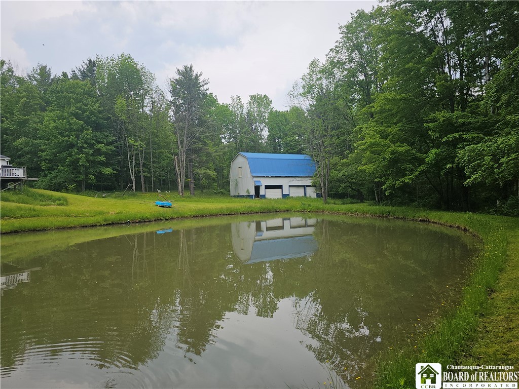 3937 Mcmahon Road, Hinsdale, New York image 19