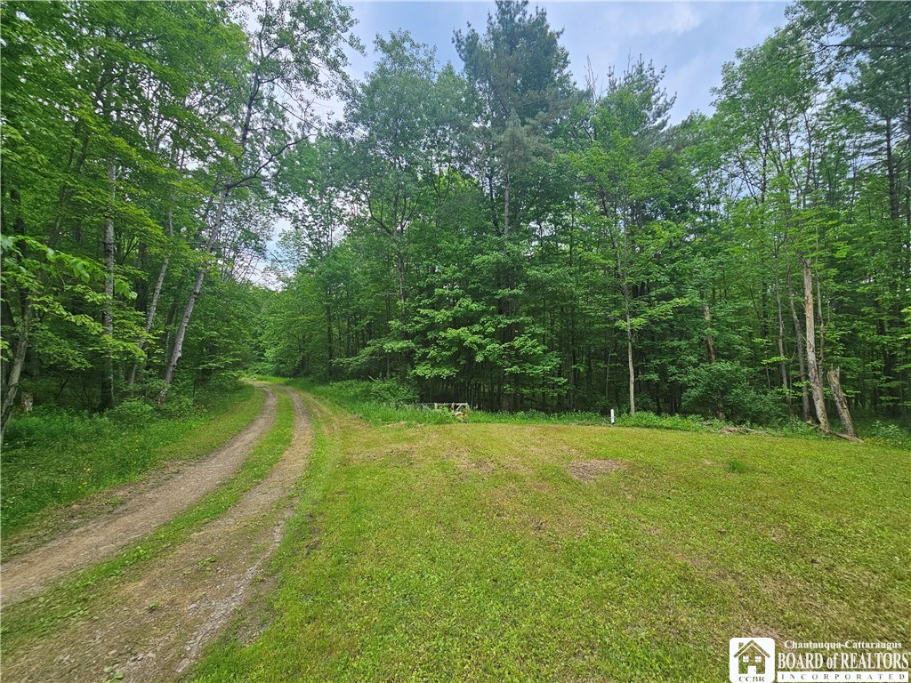 3937 Mcmahon Road, Hinsdale, New York image 47