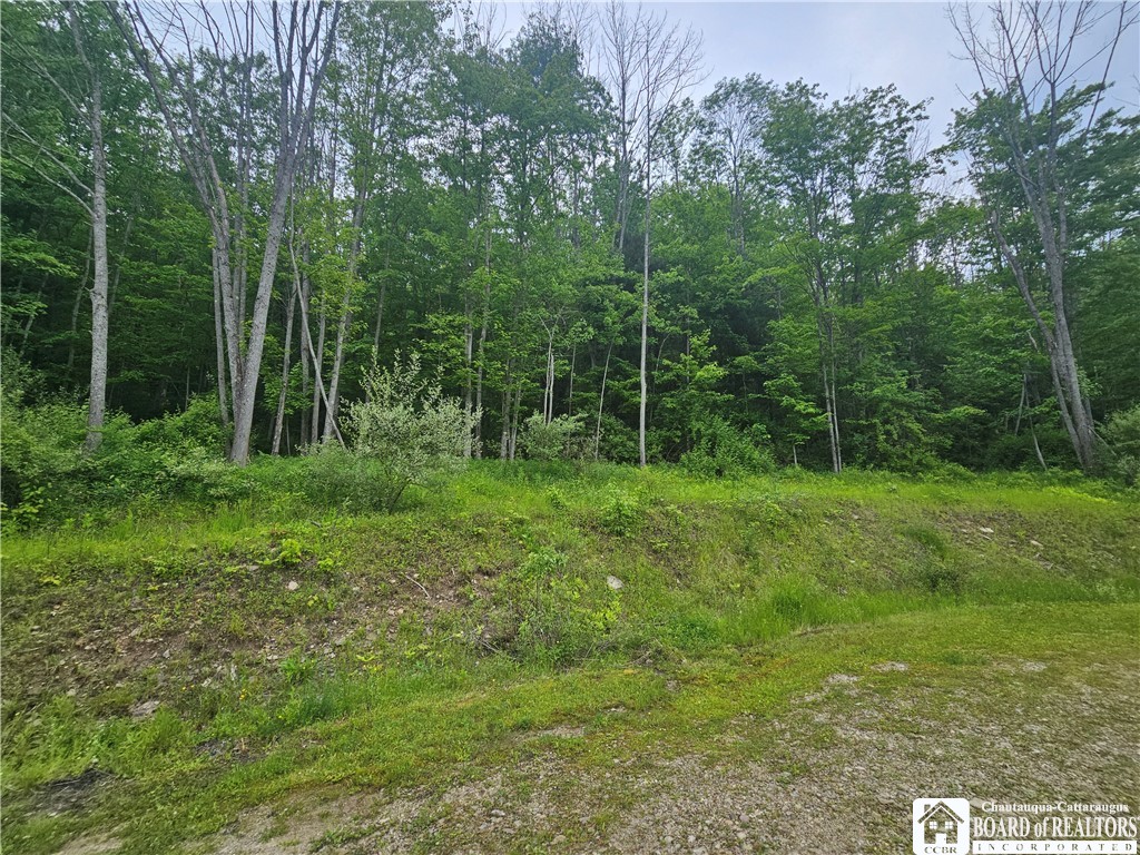 3937 Mcmahon Road, Hinsdale, New York image 12