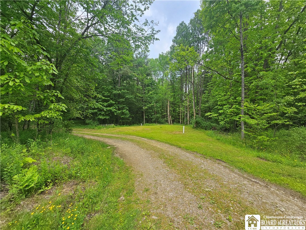 3937 Mcmahon Road, Hinsdale, New York image 46
