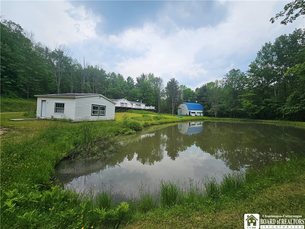 3937 Mcmahon Road, Hinsdale, New York image 18