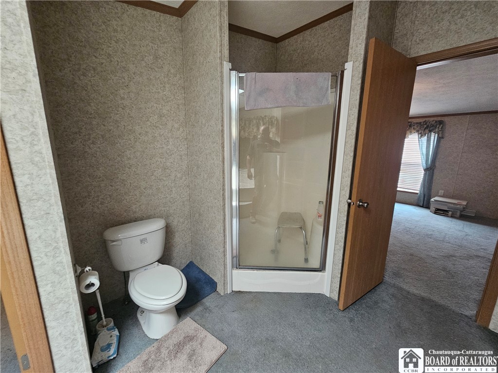 3937 Mcmahon Road, Hinsdale, New York image 25