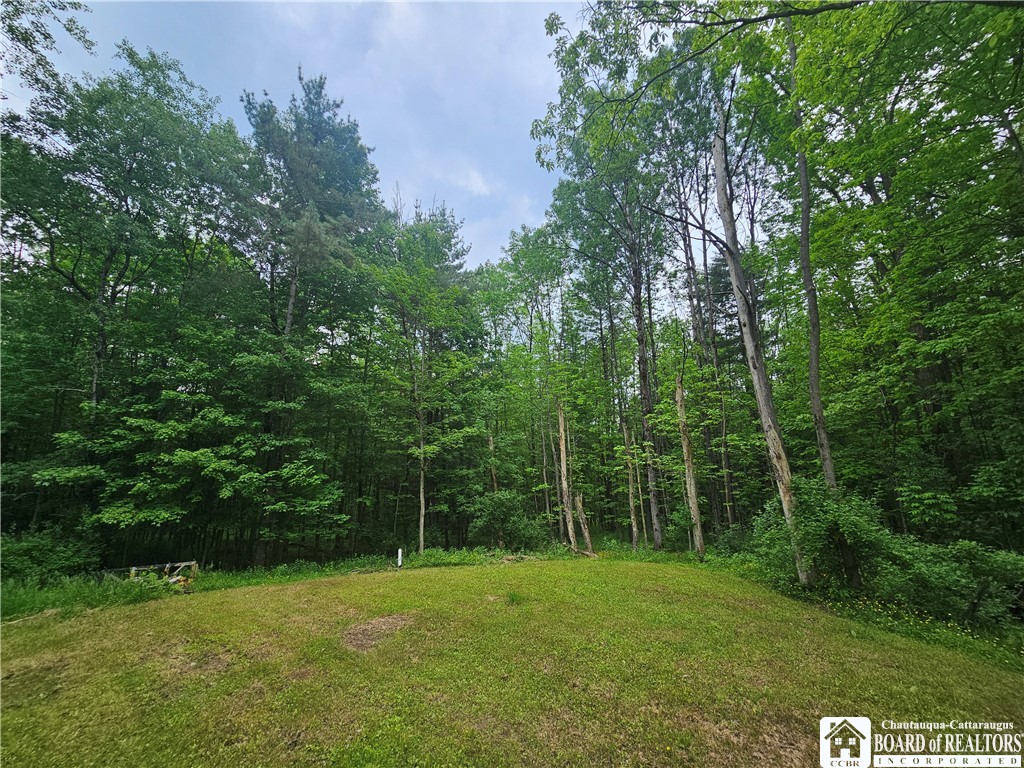 3937 Mcmahon Road, Hinsdale, New York image 48