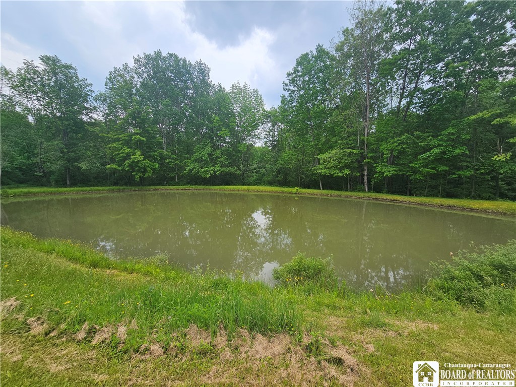 3937 Mcmahon Road, Hinsdale, New York image 10