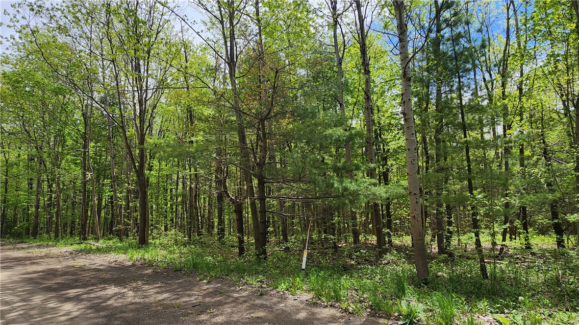 6291 Burke Road, Prattsburgh, New York image 3