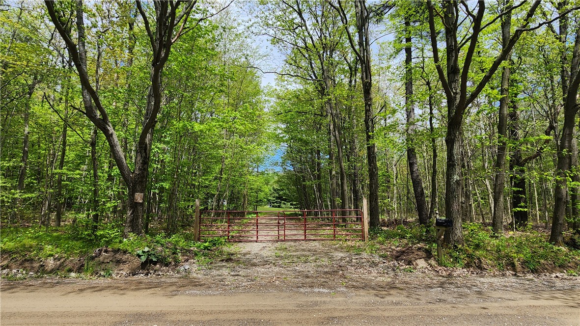 6291 Burke Road, Prattsburgh, New York image 2