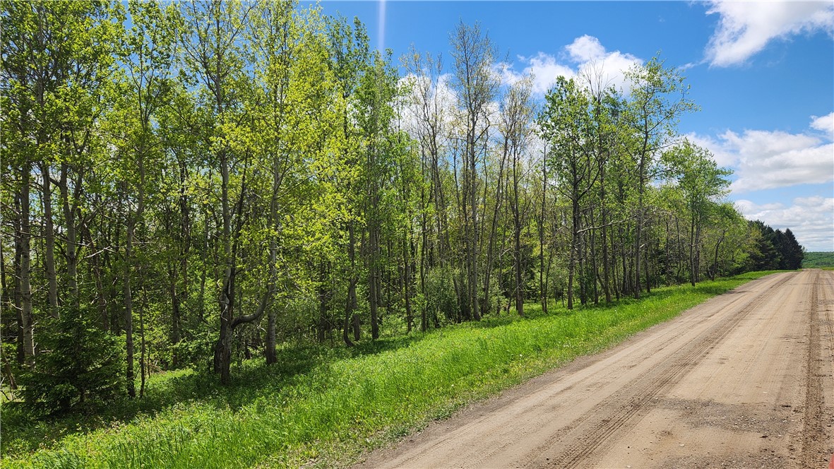 6291 Burke Road, Prattsburgh, New York image 34