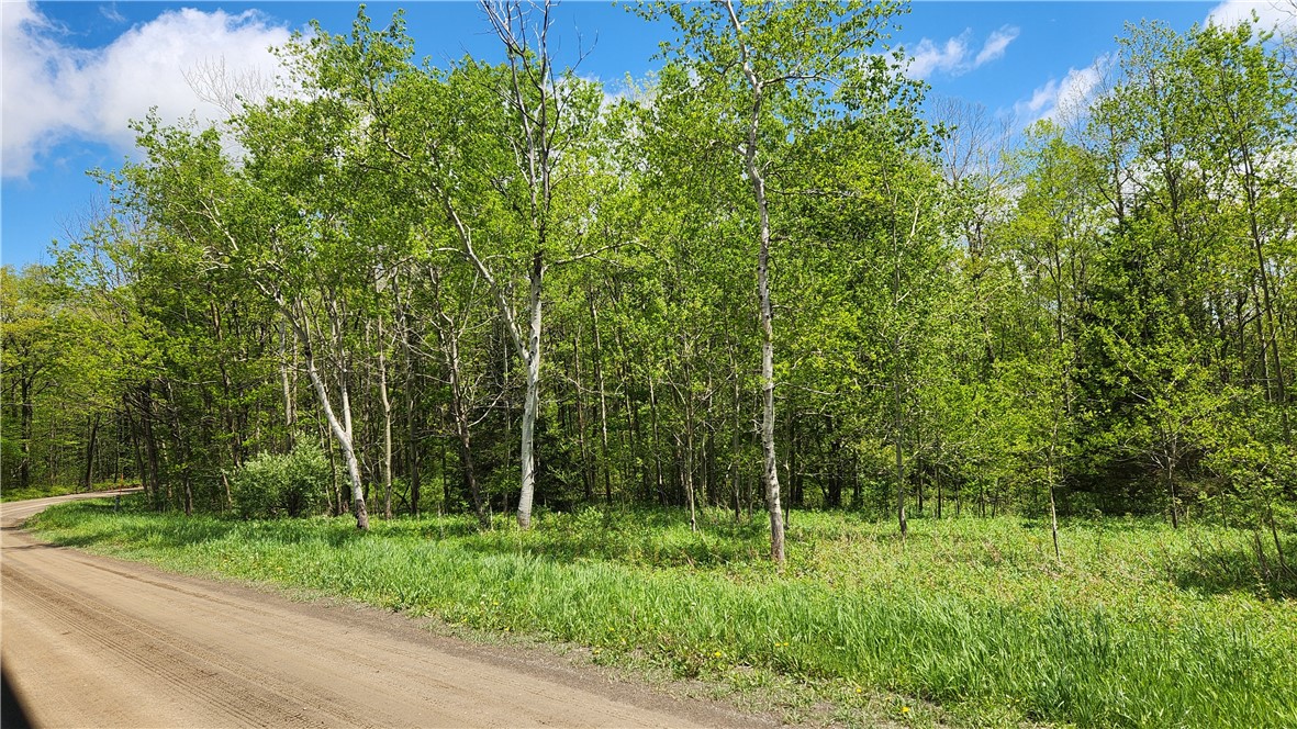 6291 Burke Road, Prattsburgh, New York image 35