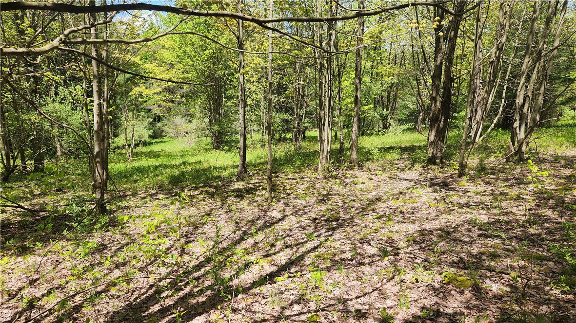 6291 Burke Road, Prattsburgh, New York image 31