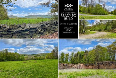 Vacant Land For Sale - LOT # 10 State Route 28<br/> Delaware County, Andes, NY 13731