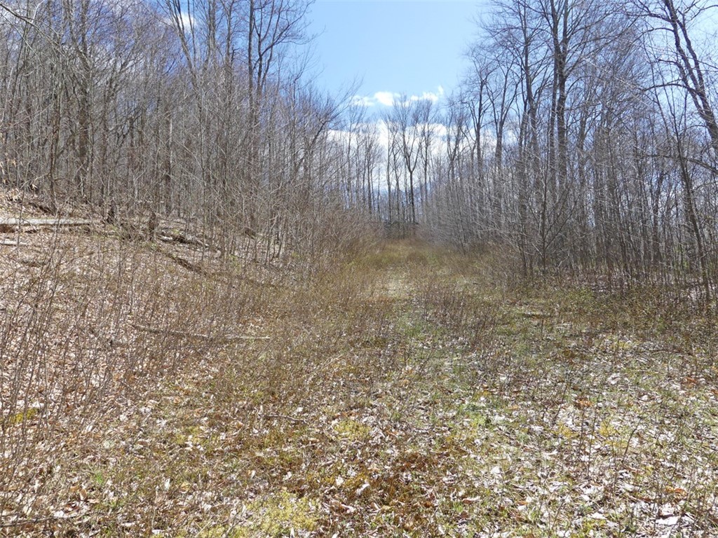 Lot 11. 2 alpine drive