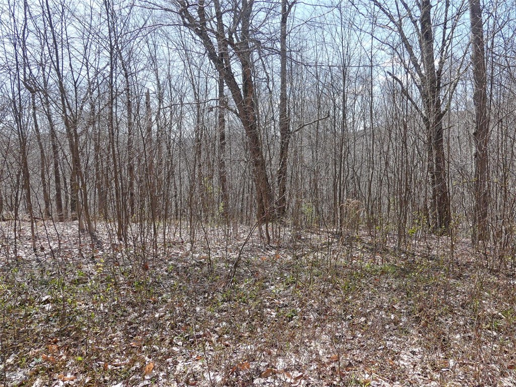 Lot 11. 2 alpine drive