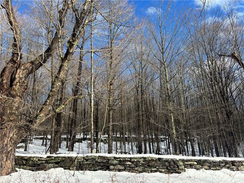 Tiny photo for Pasciak Road, Kortright, NY 13739 (MLS # R1657266)