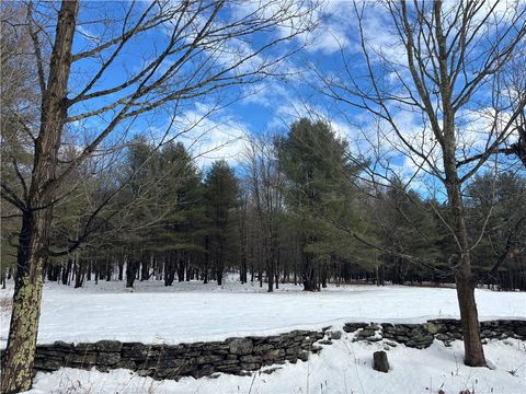 Tiny photo for Pasciak Road, Kortright, NY 13739 (MLS # R1657266)