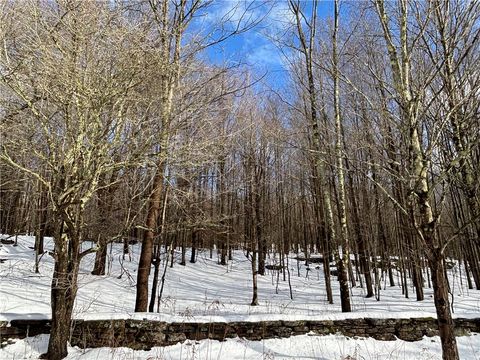 Tiny photo for Pasciak Road, Kortright, NY 13739 (MLS # R1657266)