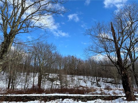 Tiny photo for Pasciak Road, Kortright, NY 13739 (MLS # R1657266)