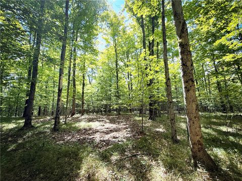Vacant Land For Sale - Cornell Hollow Road<br/> Owego, NY 13732