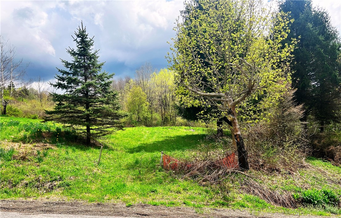 Sisson Hill Road, Unadilla, New York image 2